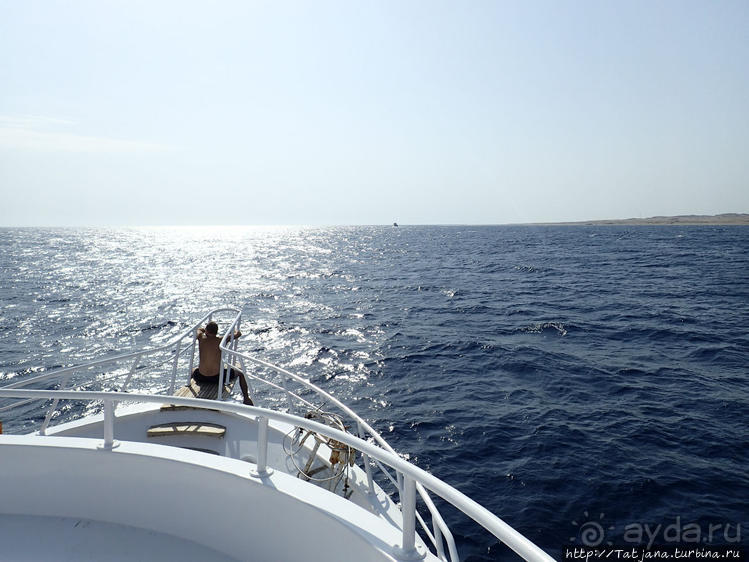 Порт Галиб — новый порт, новый город