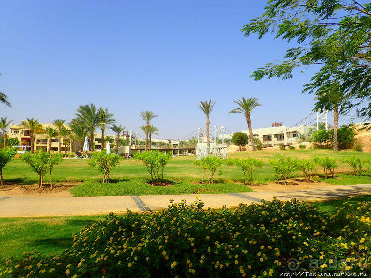 Порт Галиб — новый порт, новый город