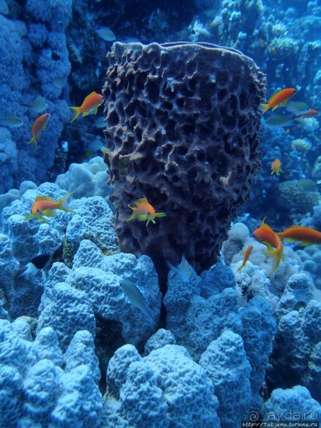 Порт Галиб — новый порт, новый город