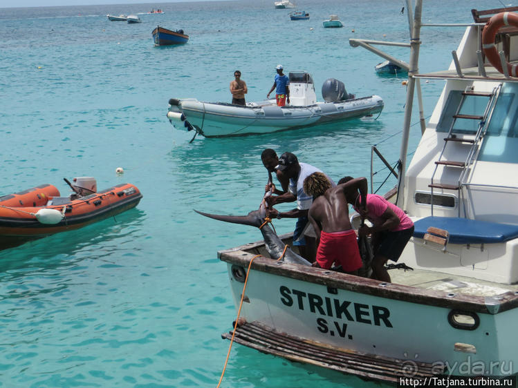 Воскресный рынок, рыба меч и рыбаки деревни Санта-Мария