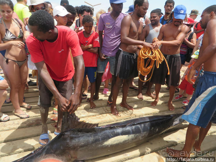 Воскресный рынок, рыба меч и рыбаки деревни Санта-Мария