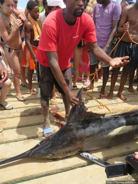 Воскресный рынок, рыба меч и рыбаки деревни Санта-Мария