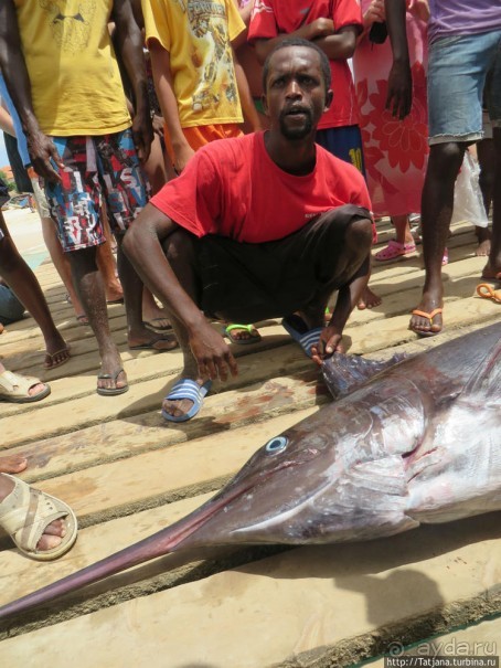 Воскресный рынок, рыба меч и рыбаки деревни Санта-Мария