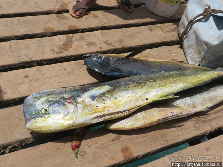 Воскресный рынок, рыба меч и рыбаки деревни Санта-Мария