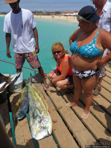 Воскресный рынок, рыба меч и рыбаки деревни Санта-Мария