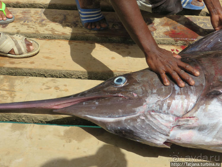 Воскресный рынок, рыба меч и рыбаки деревни Санта-Мария