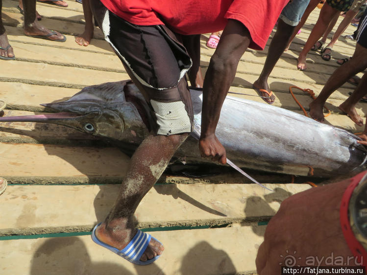 Воскресный рынок, рыба меч и рыбаки деревни Санта-Мария