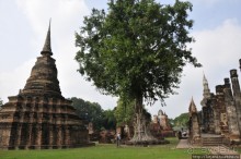 На велосипедах по заповеднику "Сукхотай"