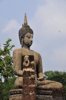 На велосипедах по заповеднику "Сукхотай"