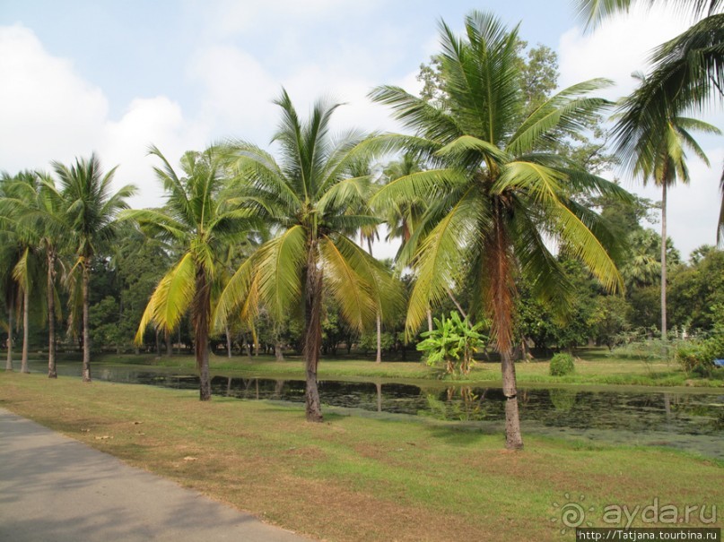 На велосипедах по заповеднику "Сукхотай"
