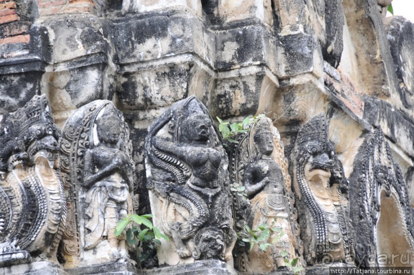 На велосипедах по заповеднику "Сукхотай"