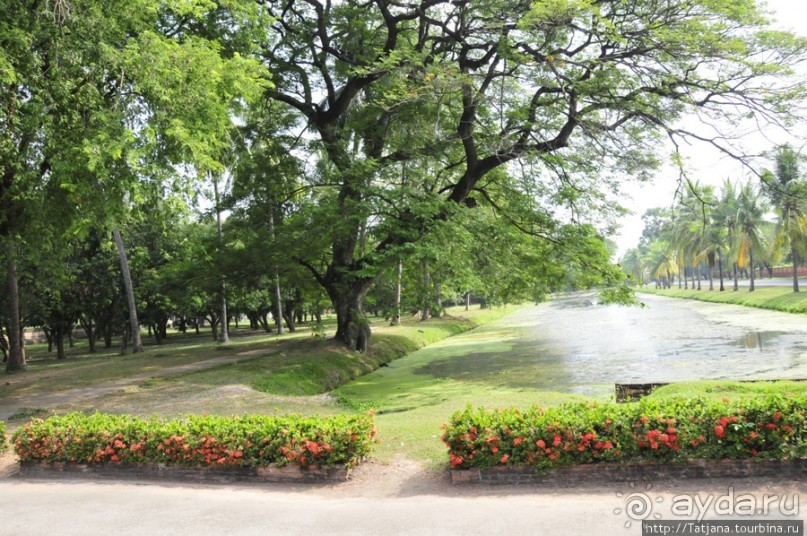 На велосипедах по заповеднику "Сукхотай"