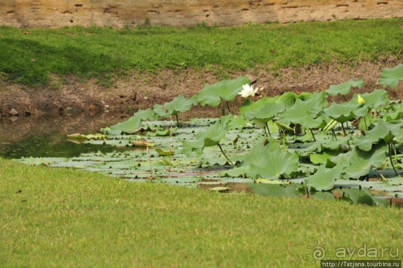 На велосипедах по заповеднику "Сукхотай"