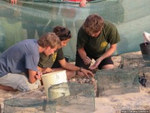 Широкий и прекрасный пляж и музыка волн