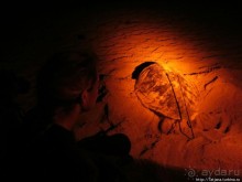 Широкий и прекрасный пляж и музыка волн