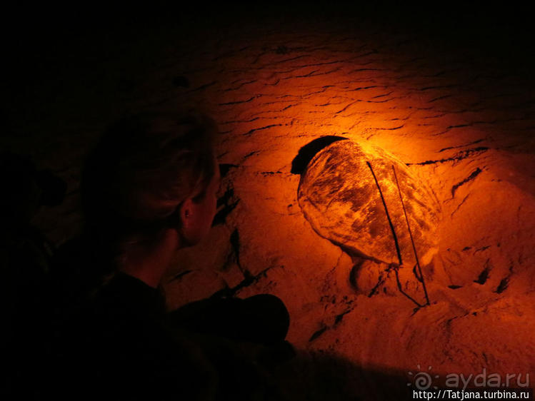 Широкий и прекрасный пляж и музыка волн