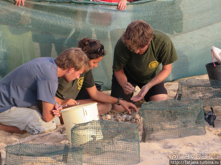Широкий и прекрасный пляж и музыка волн
