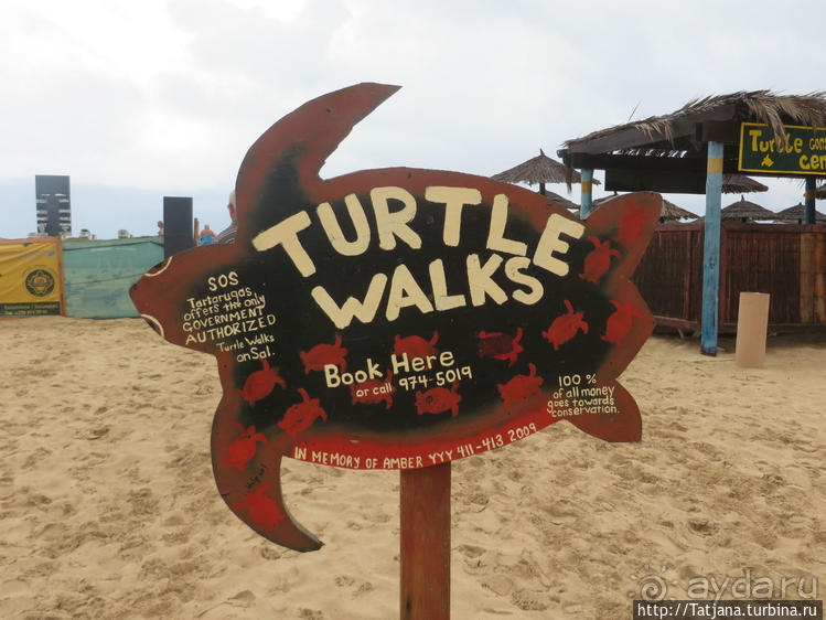 Широкий и прекрасный пляж и музыка волн