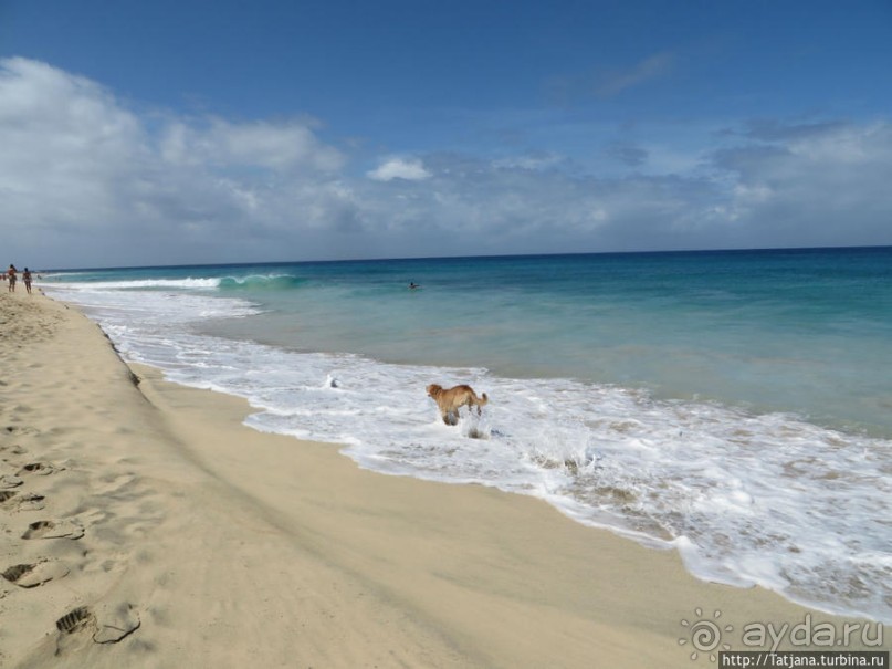 Широкий и прекрасный пляж и музыка волн