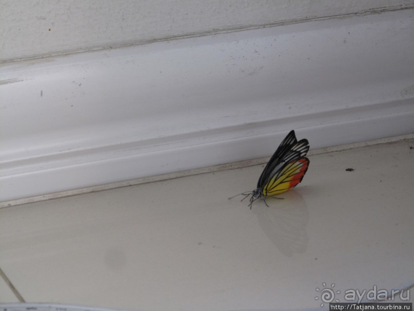 Зубная клиника Payon Dental Clinic