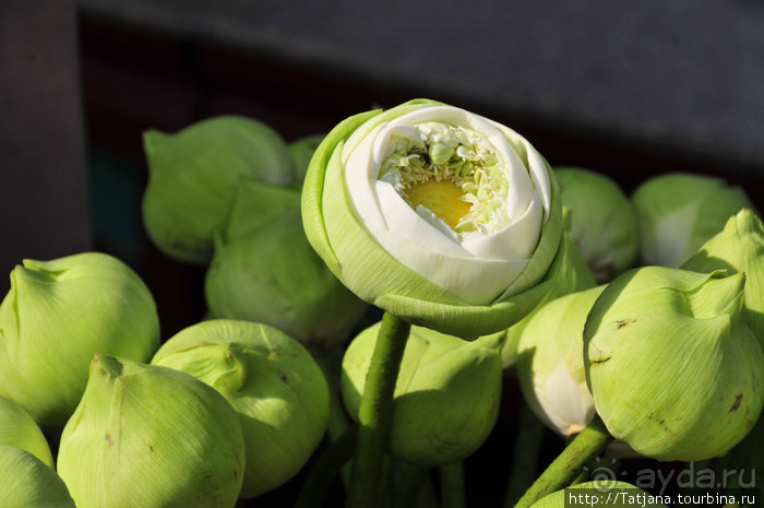 Тук-тук, зима в Бангкоке и Королевский Дворец.