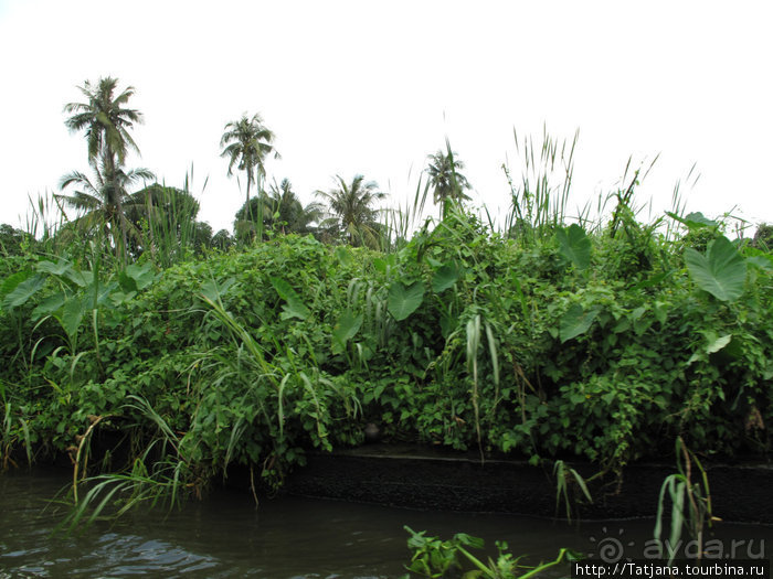 Тук-тук, зима в Бангкоке и Королевский Дворец.