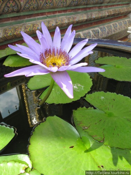 Тук-тук, зима в Бангкоке и Королевский Дворец.