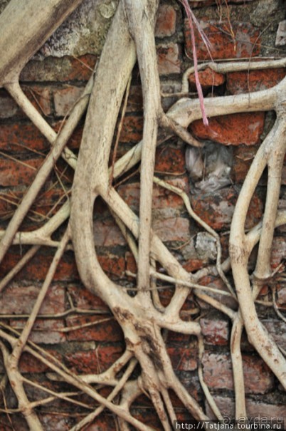 Тук-тук, зима в Бангкоке и Королевский Дворец.