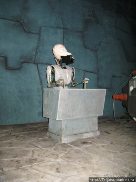 Парк Атракционов Movie Park