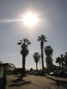 Мы курили кальян и смотрели на звезды....