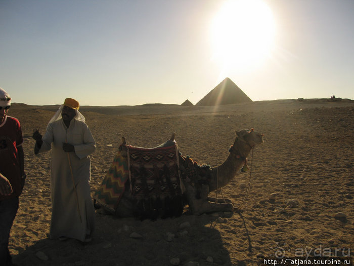 Альбом отзыва "Мы курили кальян и смотрели на звезды...."