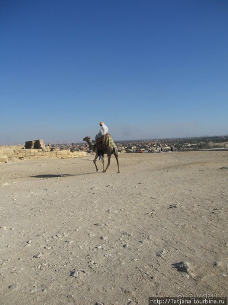 Альбом отзыва "Мы курили кальян и смотрели на звезды...."