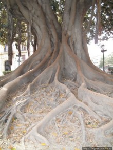 4 дня в Валенсии.