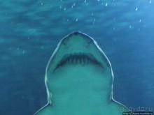 4 дня в Валенсии.