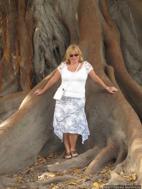 4 дня в Валенсии.