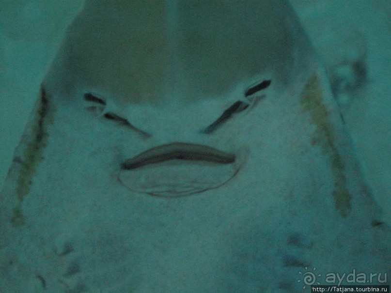 4 дня в Валенсии.