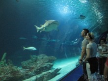 4 дня в Валенсии.