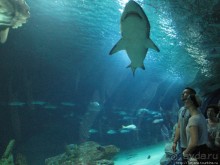 4 дня в Валенсии.