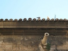 4 дня в Валенсии.