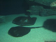 4 дня в Валенсии.