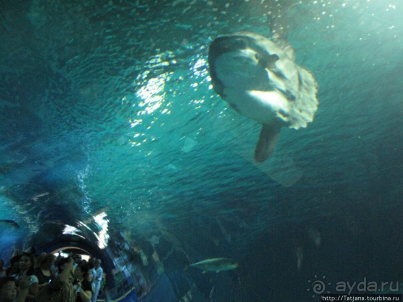 4 дня в Валенсии.