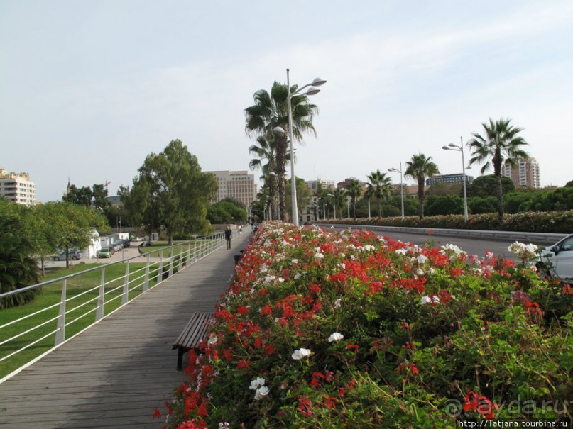 4 дня в Валенсии.