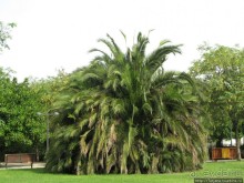 4 дня в Валенсии.