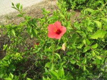 4 дня в Валенсии.