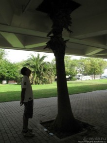 4 дня в Валенсии.