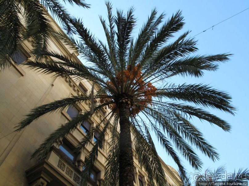 4 дня в Валенсии.