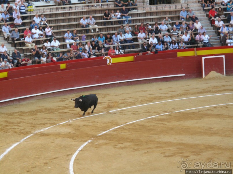 4 дня в Валенсии.