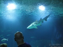 4 дня в Валенсии.