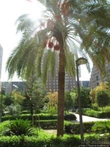 4 дня в Валенсии.