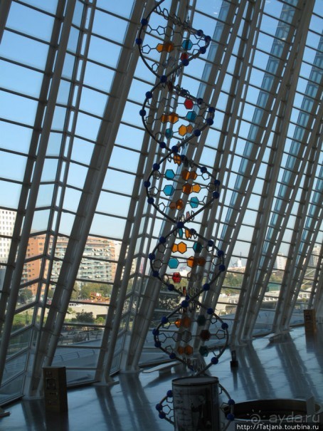 4 дня в Валенсии.